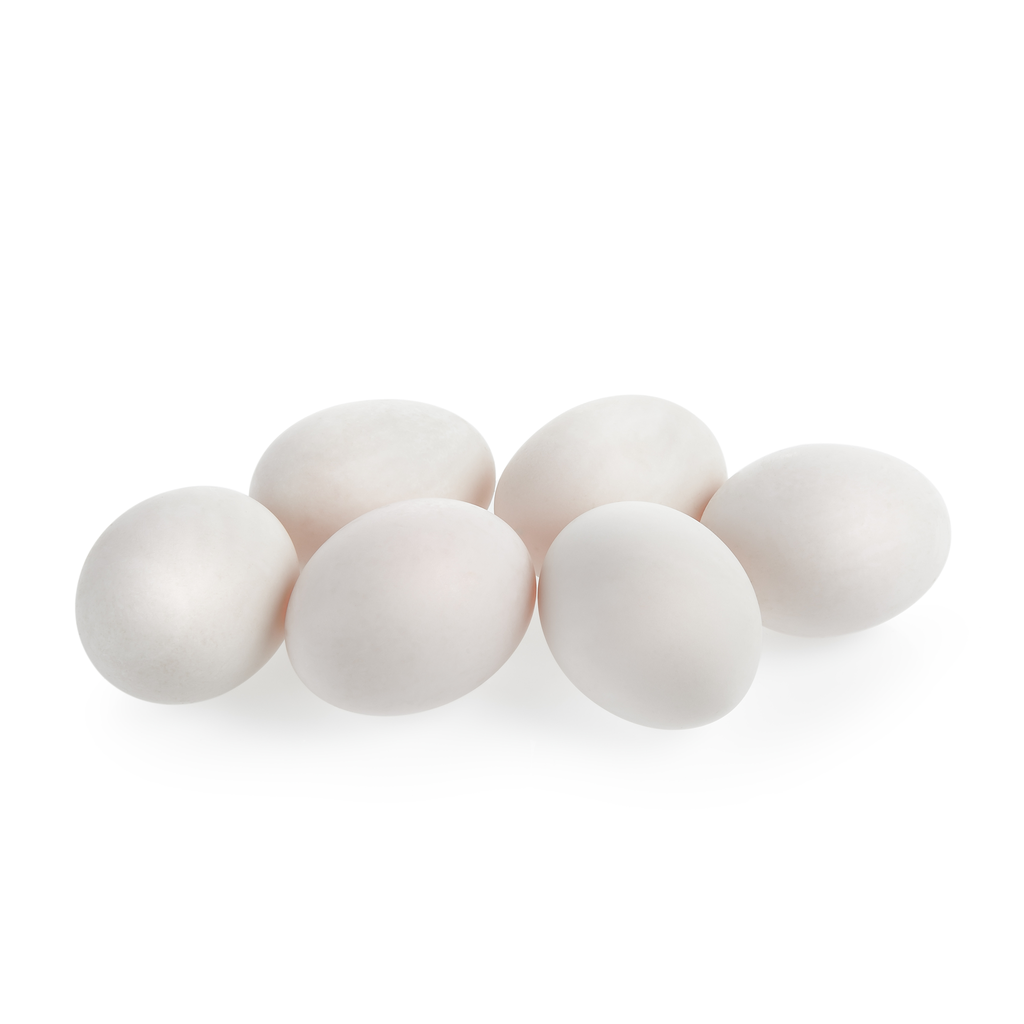 Fresh Egg