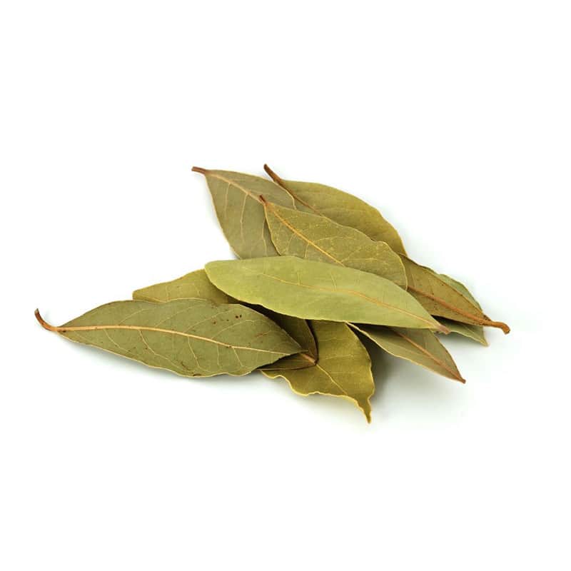 Bay Leaf