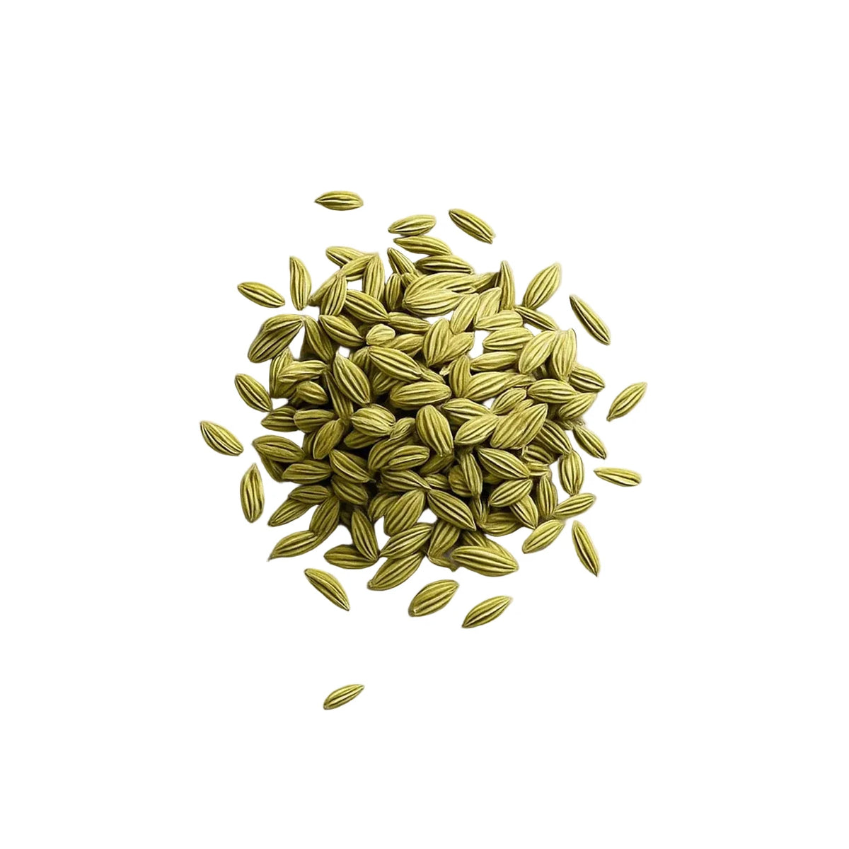 Fennel seeds (Dhaviggadhu) 50g