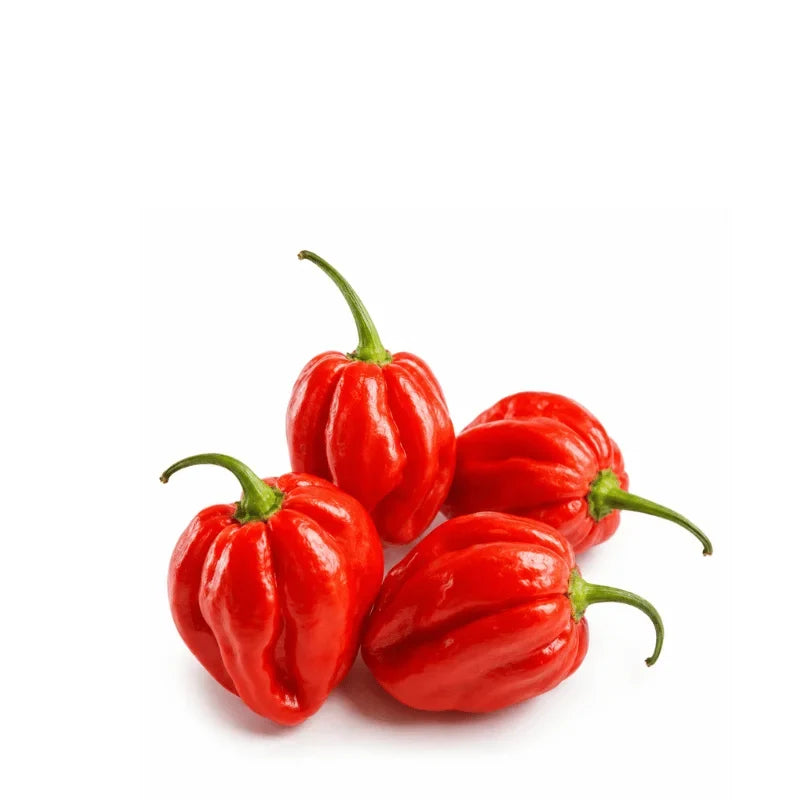 Hot Chilli (1kg)